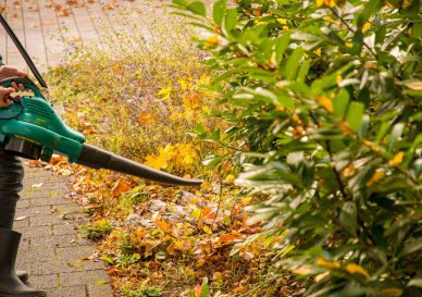 Removal of autumn leaves on the pavement with leaf blower